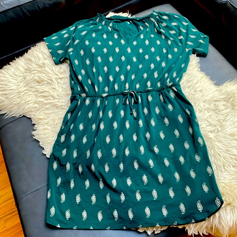 Garnet Hill: Indigo, v-neck, cinch-waist dress with pockets. Tencel fabric.